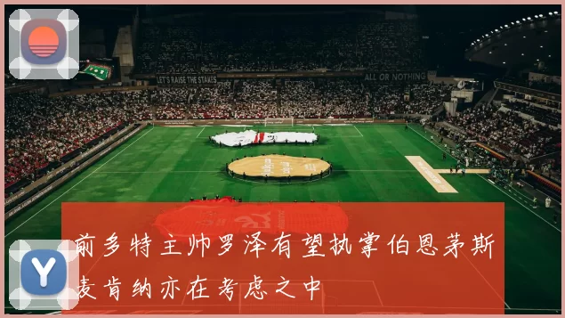 前多特主帅罗泽有望执掌伯恩茅斯麦肯纳亦在考虑之中